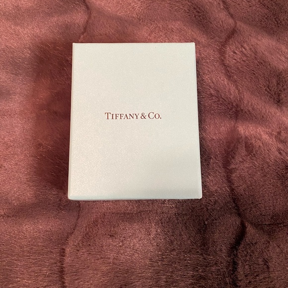 Tiffany & Co. Necklace with Key pendant